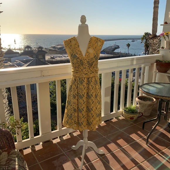 Tracy Reese Dresses & Skirts - Beautiful lace dress with blue liner.